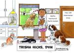 130-FF Veterinarian - Dark Skin