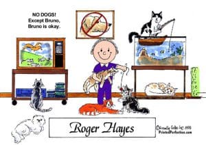 Cat Lover, Male - Friendly Folks