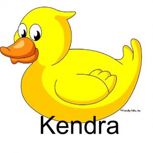809-FF Duck