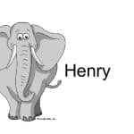 811-FF Elephant, Male