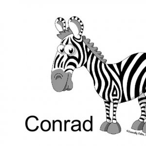 833-FF Zebra, Male