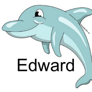 860-FF Dolphin